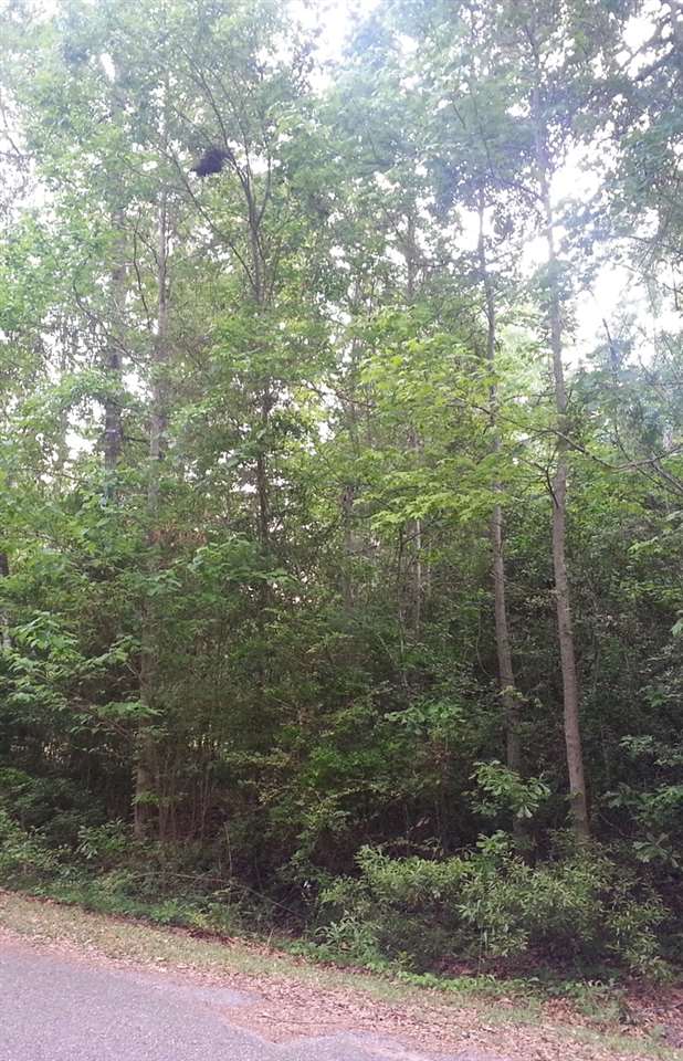 Lots 21-24 Levert St, Kirbyville, TX 75956