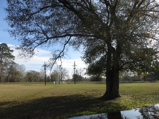 2707 Carter's Ferry Rd. East, Milam, TX 75959