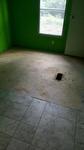 1224 WOODBINE ST ,TX, Nacogdoches, 75964