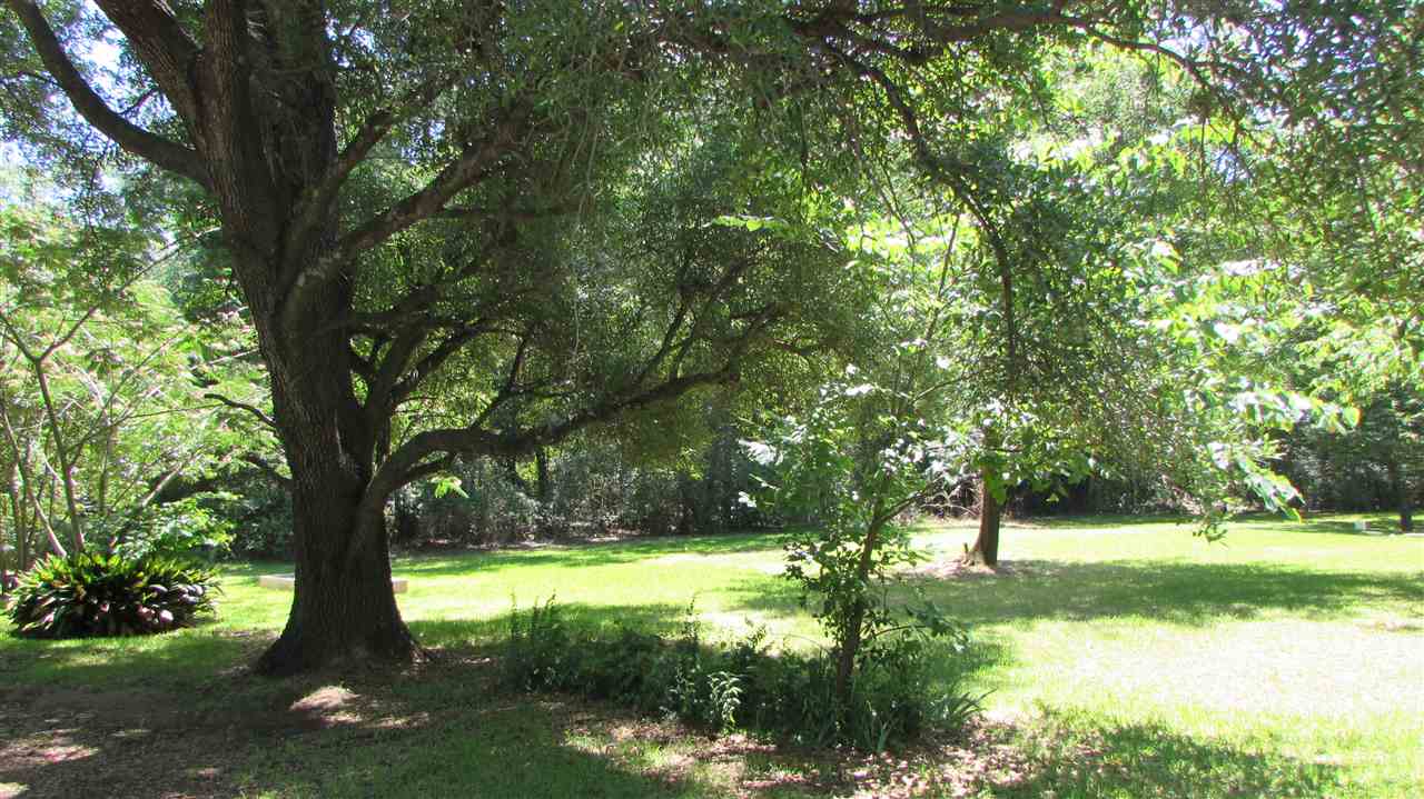270 CR 2060, Shelbyville, TX 75973