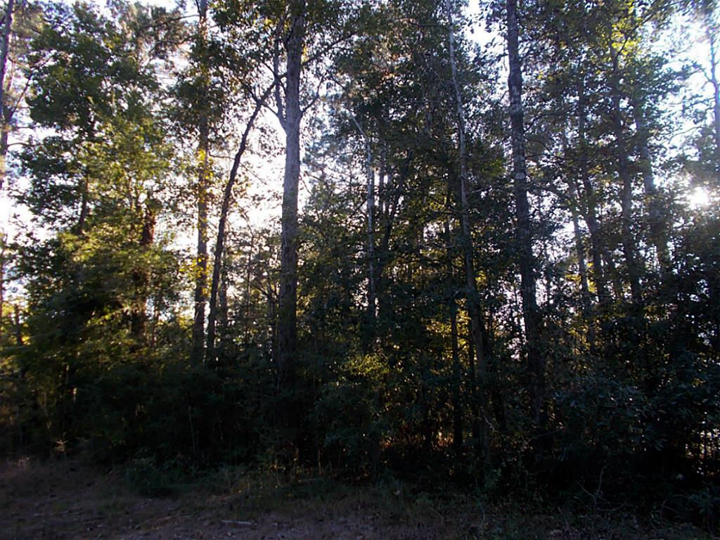 470 Stonehenge, Woodville, TX 75979