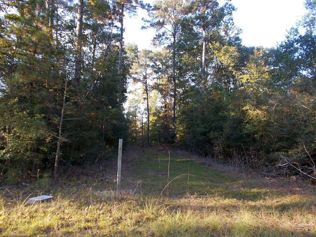 470 Stonehenge, Woodville, TX 75979