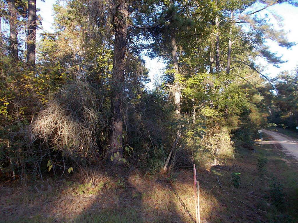 470 Stonehenge, Woodville, TX 75979