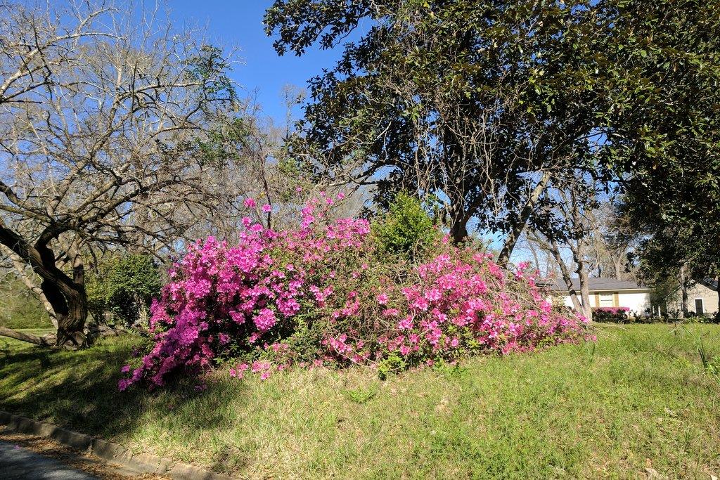 503 N Reid Street, Woodville, TX 75979