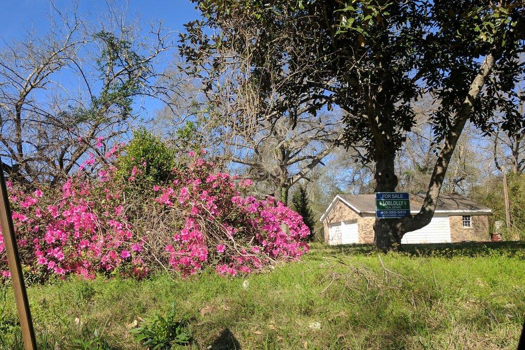 503 N Reid Street, Woodville, TX 75979