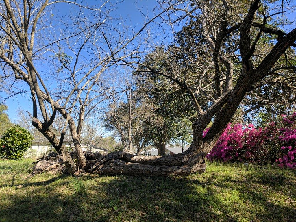 503 N Reid Street, Woodville, TX 75979