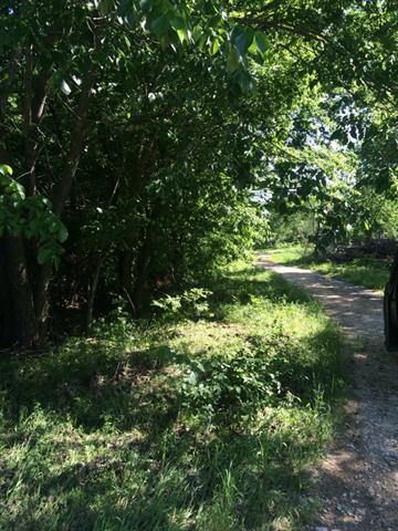 Tbd Lake Doris Drive, Alvarado, TX 76009
