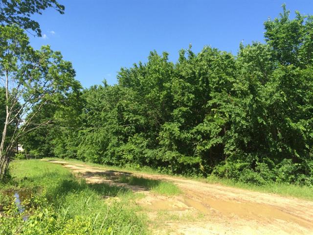 Tbd Lake Doris Drive, Alvarado, TX 76009