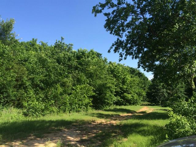 Tbd Lake Doris Drive, Alvarado, TX 76009