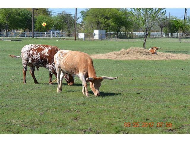 1520 Boaz Road, Haslet, TX 76052
