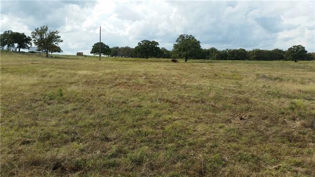 6808 S FM 113, Millsap, TX 76066