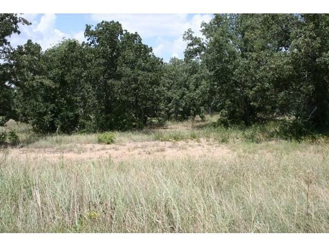23r Summit Drive, Mineral Wells, TX 76067