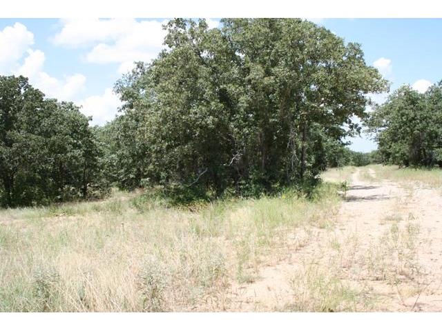 23r Summit Drive, Mineral Wells, TX 76067
