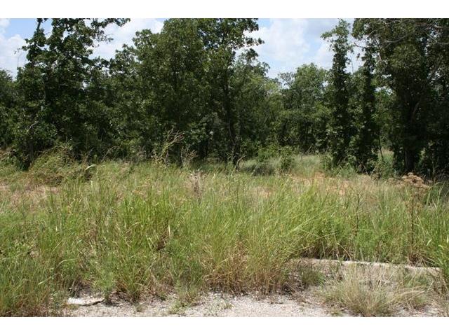 24r Summit Drive, Mineral Wells, TX 76067