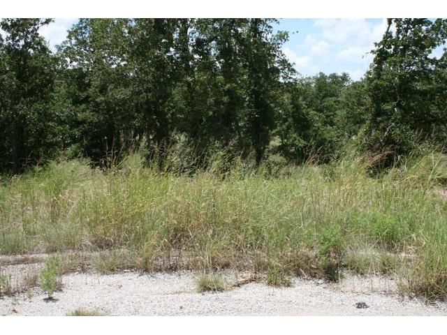 24r Summit Drive, Mineral Wells, TX 76067