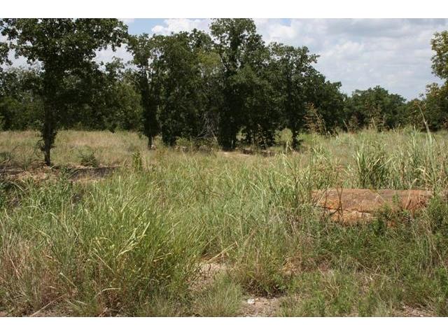 24r Summit Drive, Mineral Wells, TX 76067