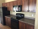 11517 DARK LEAF CT E ,TX, Fort Worth, 76135