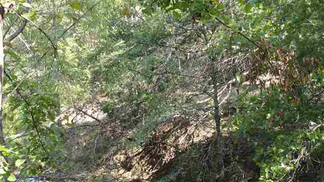 223 Body, Bowie, TX 76230