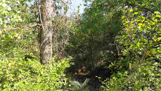 223 Body, Bowie, TX 76230