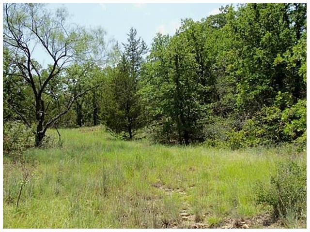 446 Ranch view Court, Bowie, TX 76230