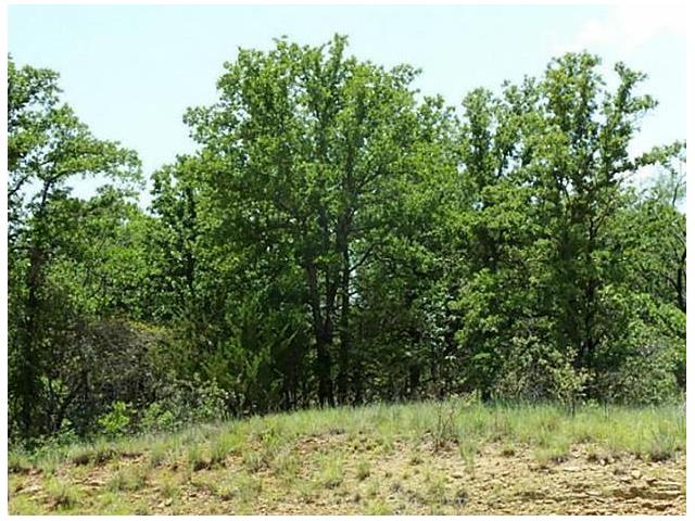 446 Ranch view Court, Bowie, TX 76230