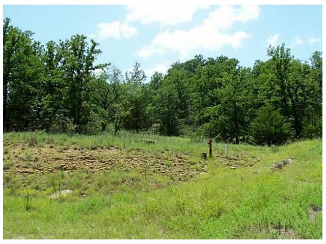 446 Ranch view Court, Bowie, TX 76230