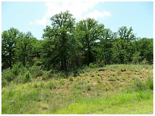 446 Ranch view Court, Bowie, TX 76230