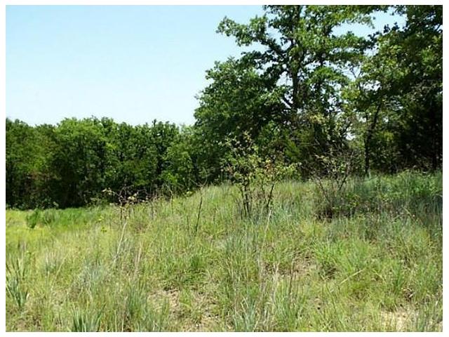 446 Ranch view Court, Bowie, TX 76230