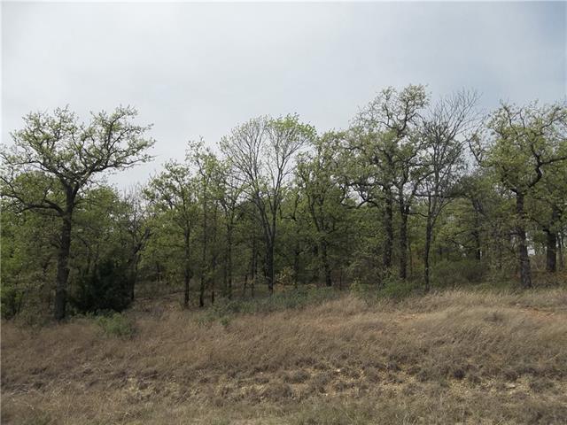 256 Mustang Springs, Bowie, TX 76230