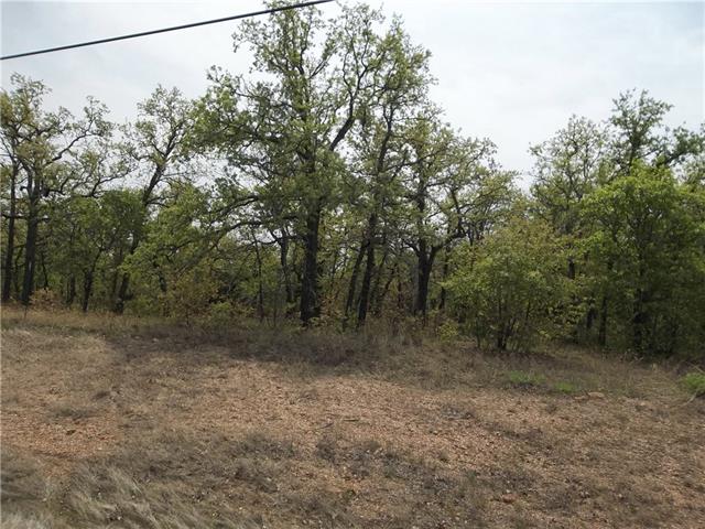 256 Mustang Springs, Bowie, TX 76230