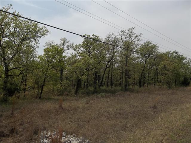 256 Mustang Springs, Bowie, TX 76230