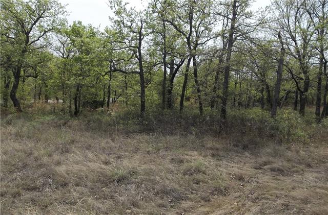 256 Mustang Springs, Bowie, TX 76230