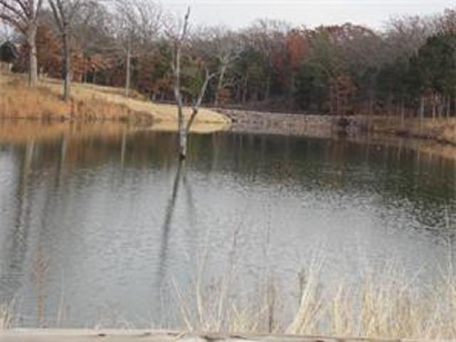 Lot 2 Palisades, Gordonville, TX 76245