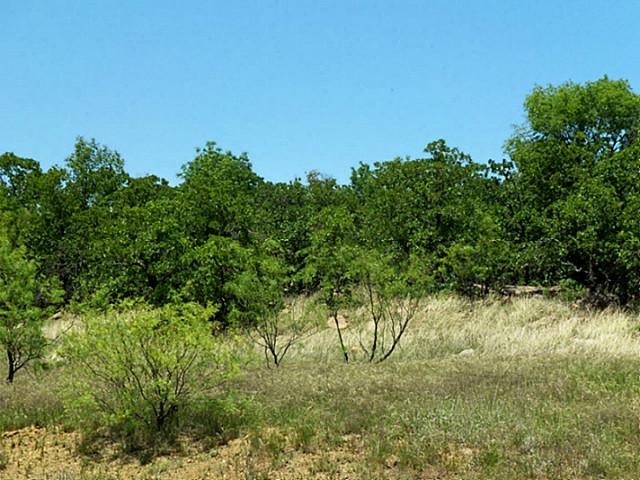 379 Mountain View Court, Sunset, TX 76270