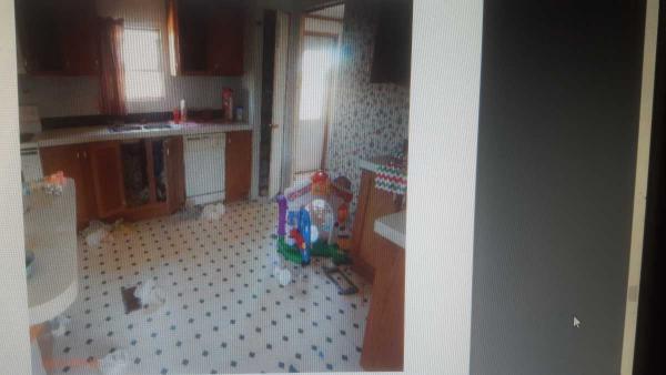 no address ,TX, Chico, 76431