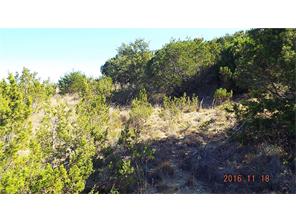 785BLUE MARLIN, Bluff Dale, TX 76433