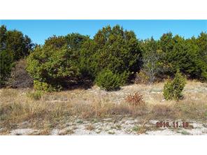 785BLUE MARLIN, Bluff Dale, TX 76433