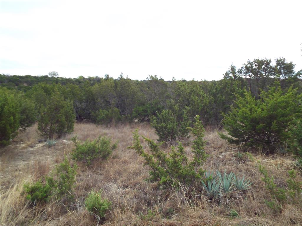 140 Anchors Way, Bluff Dale, TX 76433