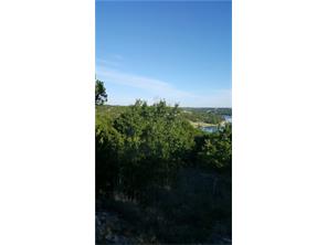 1955 Beacon Lake Drive, Bluff Dale, TX 76433