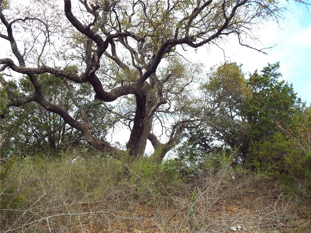 1855 Beacon Lake, Bluff Dale, TX 76433