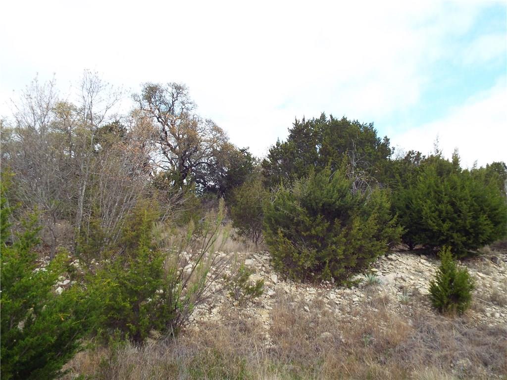 1855 Beacon Lake, Bluff Dale, TX 76433