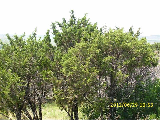 Lt 132 Raven Circle, Possum Kingdom Lake, TX 76449