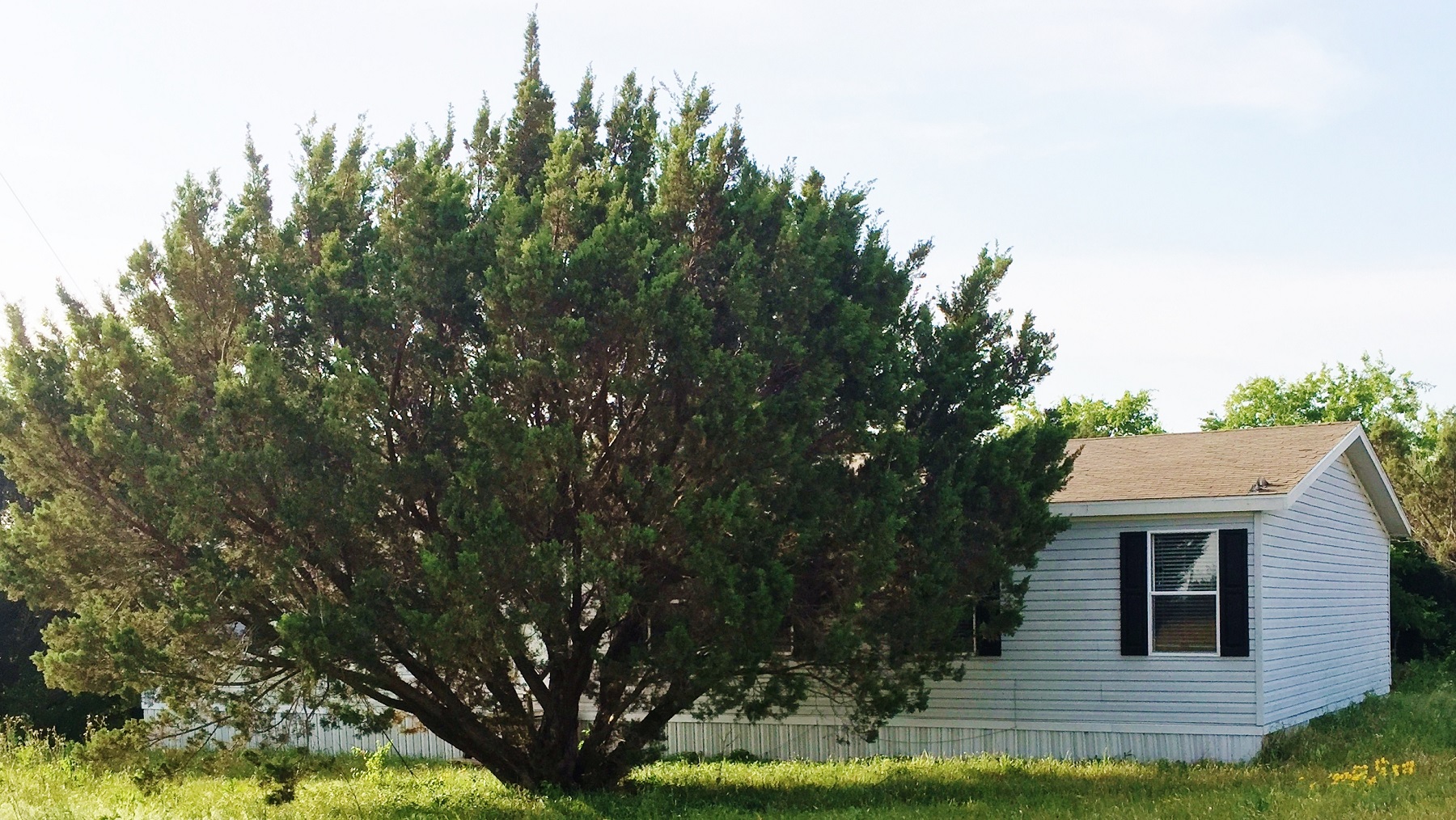 543 PR 118a, Hico, TX 76457