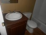 7311 E STONE HILL CT ,TX, Lipan, 76462