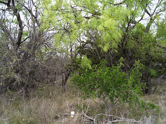 600 Lamar Street, Ranger, TX 76470