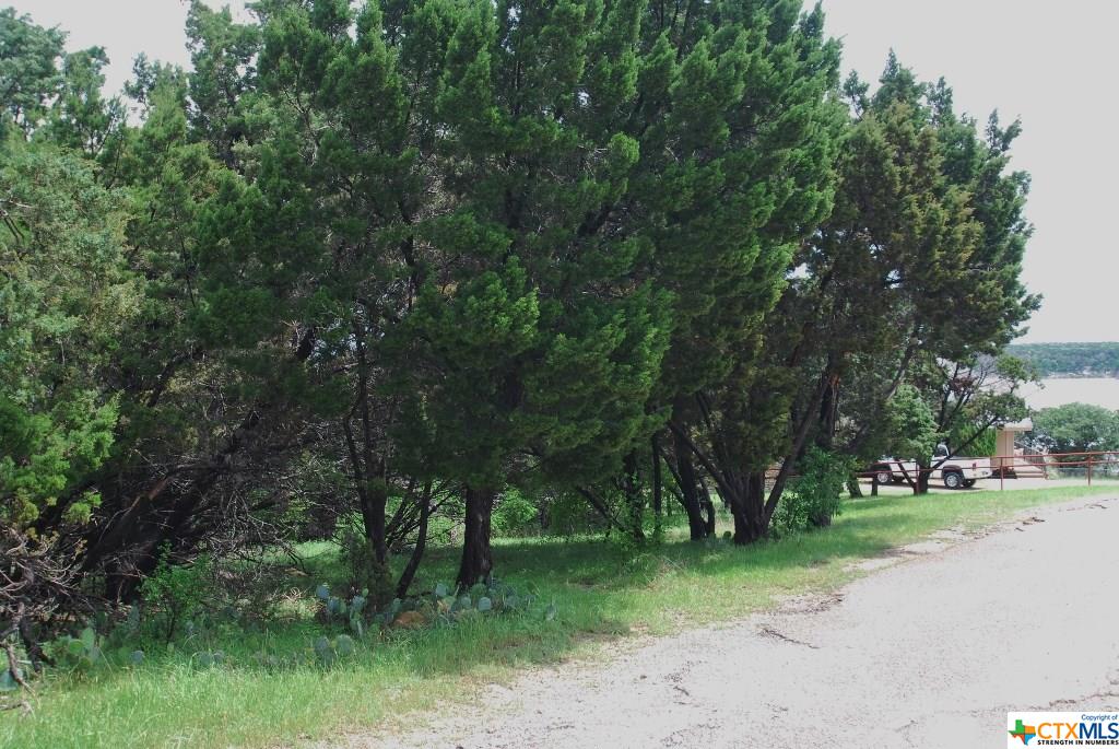 3251 Armadillo Lane, Temple, TX 76502