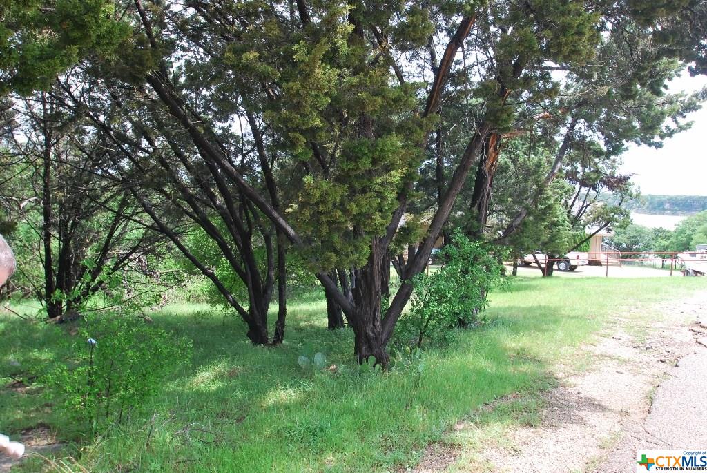 3251 Armadillo Lane, Temple, TX 76502