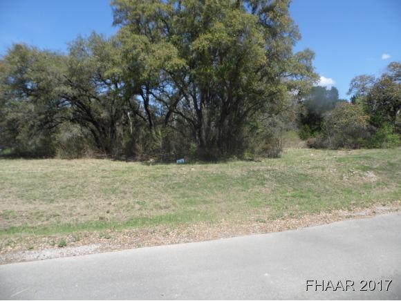 Tbd Nathan Lane, Belton, TX 76513