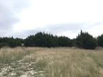 840 GREYSTONE DR ,TX, Copperas Cove, 76522