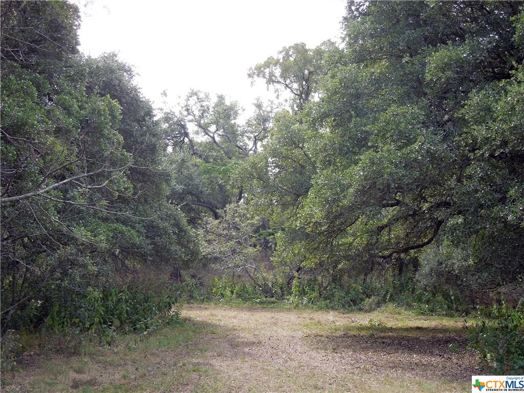 0 County Rd 328, Granger, TX 76530